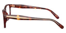 Coach Frame HC6292U in Walnut Tortoise 5938 (5938), side profile view