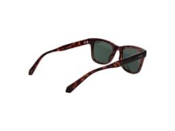 Polaroid Sunglasses PLD 6206/S in Havana (086), side view