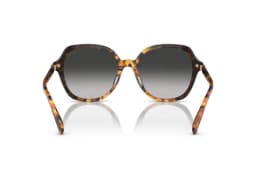 Coach Sunglasses HC8377U in 577613 (577613), viewed from behind