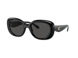 Coach Sunglasses HC8391U in 500287 (500287), front three-quarter view