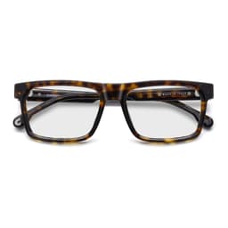 Carrera Sunglasses VICTORY C 11 in HAVANA, straight front view