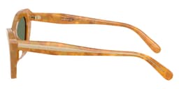 Coach Sunglasses HC8452U in Blonde Tortoise / Green Solid 593982 (593982), side profile view