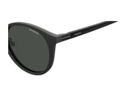 Polaroid Sunglasses PLD 2091/S in Negro (003), side view