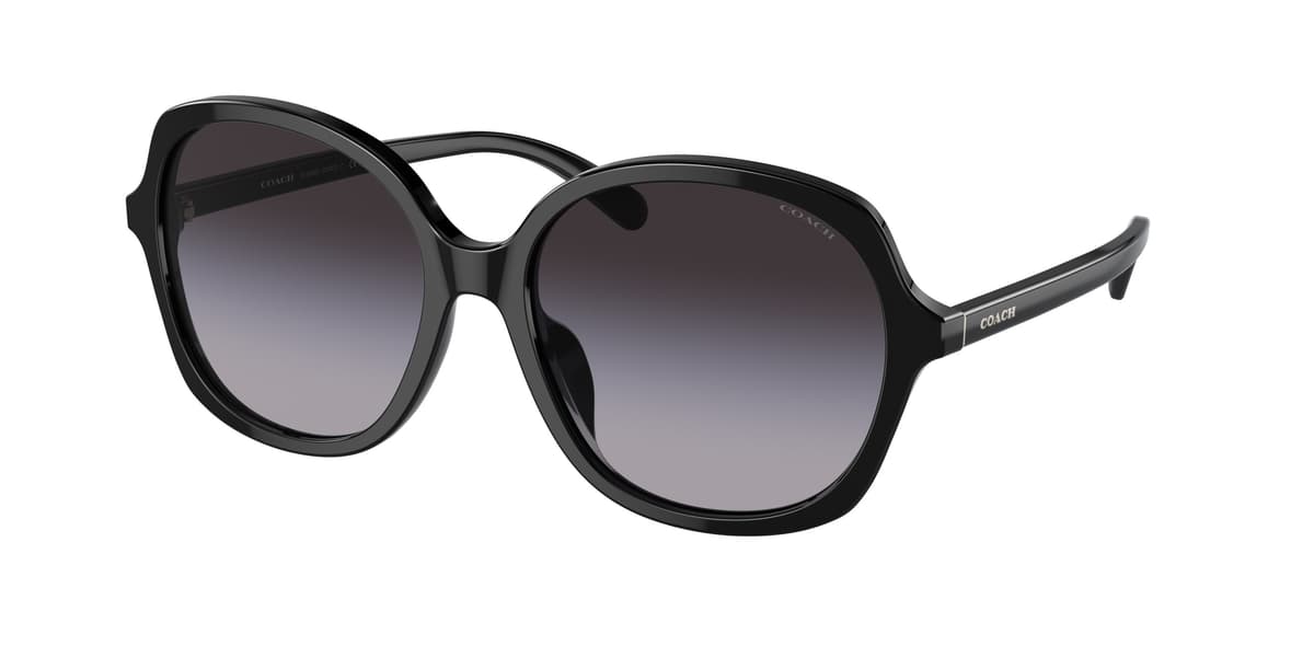 Coach Sunglasses HC8360U in Black (50028G), front three-quarter view