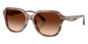 Coach Sunglasses HC8437U in Striated Redwood/Maple / Brown Gradient (590174), front three-quarter view