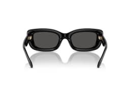 Coach Sunglasses HC8390U in 500287 (500287), viewed from behind