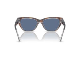 Coach Sunglasses HC8370U in 574280 (574280), viewed from behind