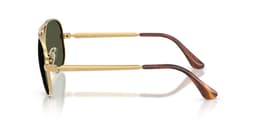 Ray-Ban Sunglasses RB3925 in 001/31 (001/31), side view
