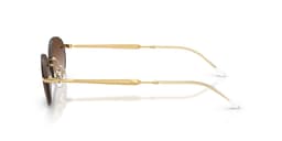 Ray-Ban Sunglasses RB3767 in 001/13 (001/13), side view