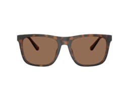 Coach Sunglasses HC8427U in 512073 (512073), straight front view