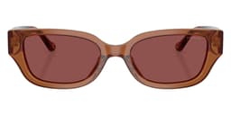 Coach Sunglasses HC8439U in Transparent Brown / Wine Solid (581175), straight front view