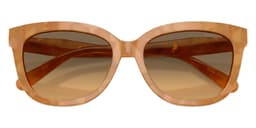 Coach Sunglasses HC8453U in Blonde Tortoise / Olive 593911 (593911), straight front view