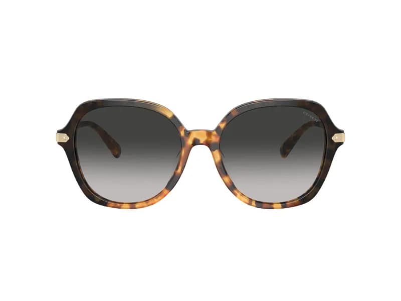 Coach Sunglasses HC8377U in 577613 (577613), straight front view