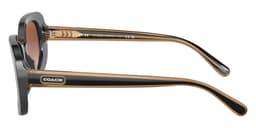 Coach Sunglasses HC8358U in Pearlized Tortoise / Brown Gradient 572413 (572413), side profile view