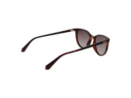Polaroid Sunglasses PLD 4107/S in Havana (086), side view