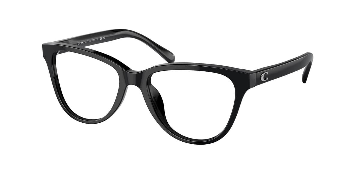 Coach Frame HC6202U in Black (5002), front three-quarter view
