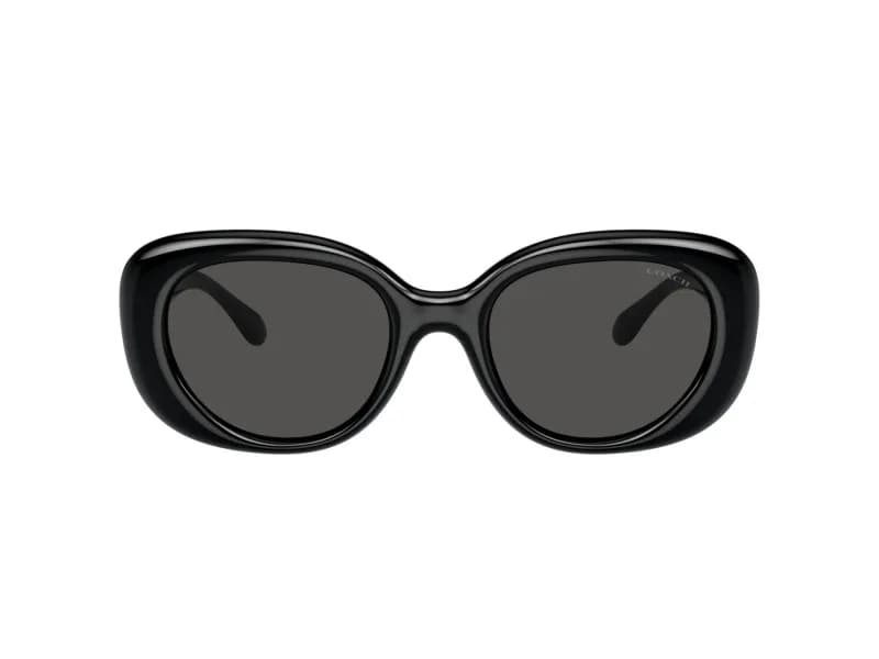 Coach Sunglasses HC8391U in 500287 (500287), straight front view