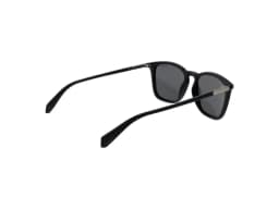 Polaroid Sunglasses PLD 2085/S in Negro (003), side view
