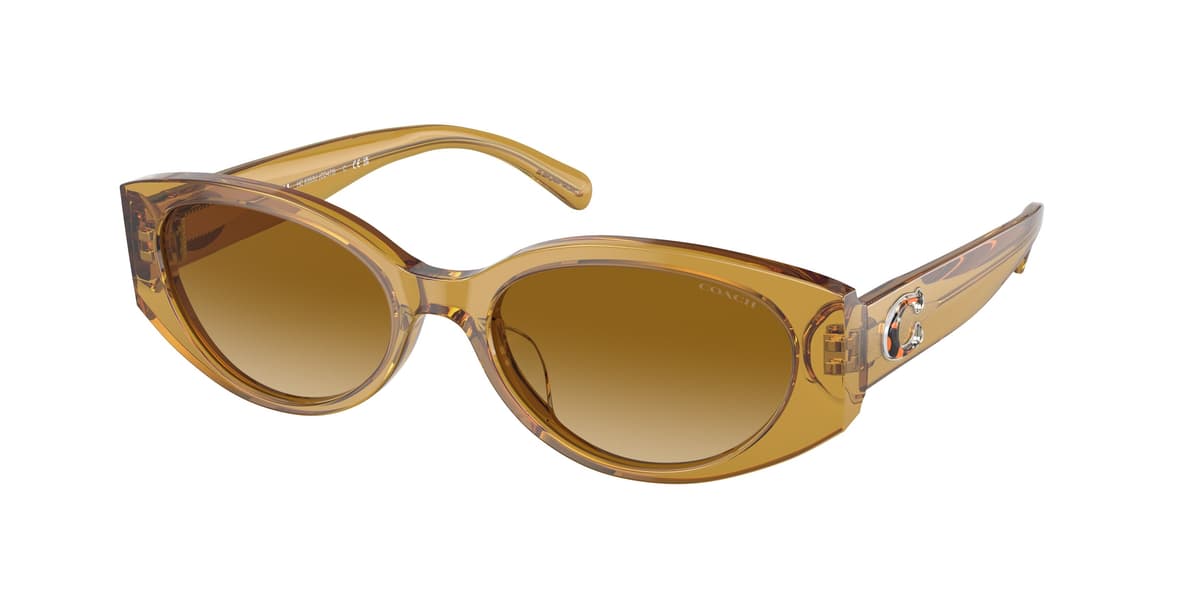 Coach Sunglasses HC8353U in Transparent Honey (57152L), front three-quarter view