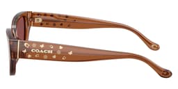 Coach Sunglasses HC8439U in Transparent Brown / Wine Solid (581175), side profile view
