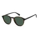 Polaroid Sunglasses PLD 4153/S in HAVANA, three quarter view