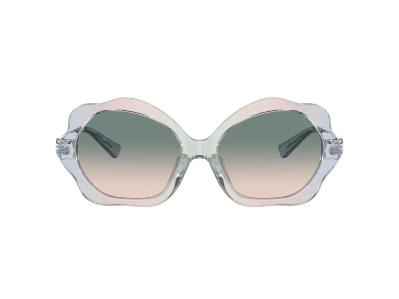 Coach Sunglasses HC8346BU in 56422C (56422C), straight front view