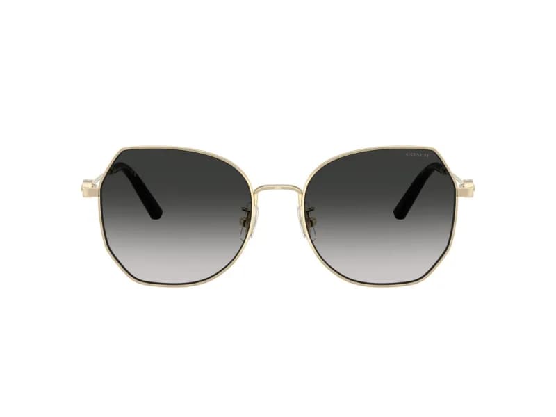 Coach Sunglasses HC7175 in 90053C (90053C), straight front view