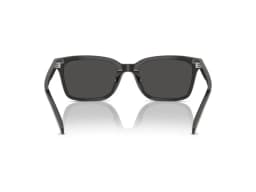 Coach Sunglasses HC8398U in 581787 (581787), viewed from behind