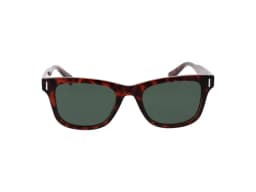 Polaroid Sunglasses PLD 6206/S in Havana (086), straight front view