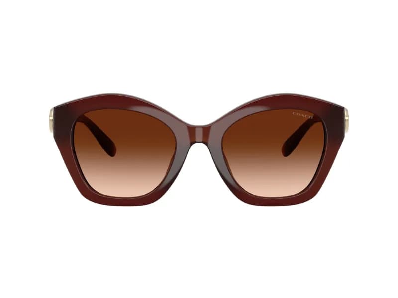 Coach Sunglasses HC8421U in 584174 (584174), straight front view