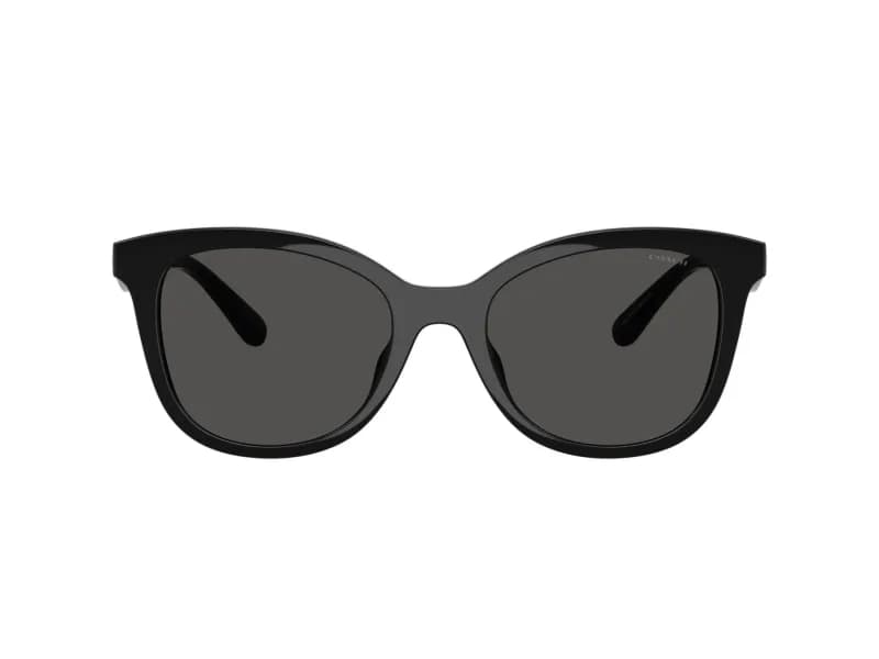 Coach Sunglasses HC8419U in 500287 (500287), straight front view
