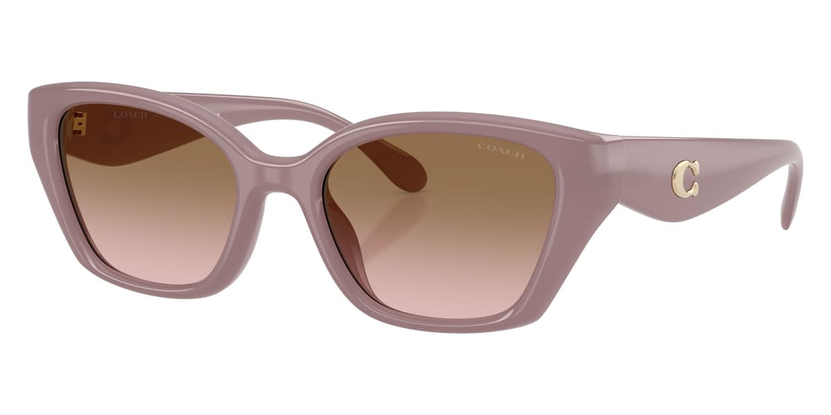 Coach Sunglasses HC8434U in Milky Putty / Brown Peach Gradient (549511), front three-quarter view