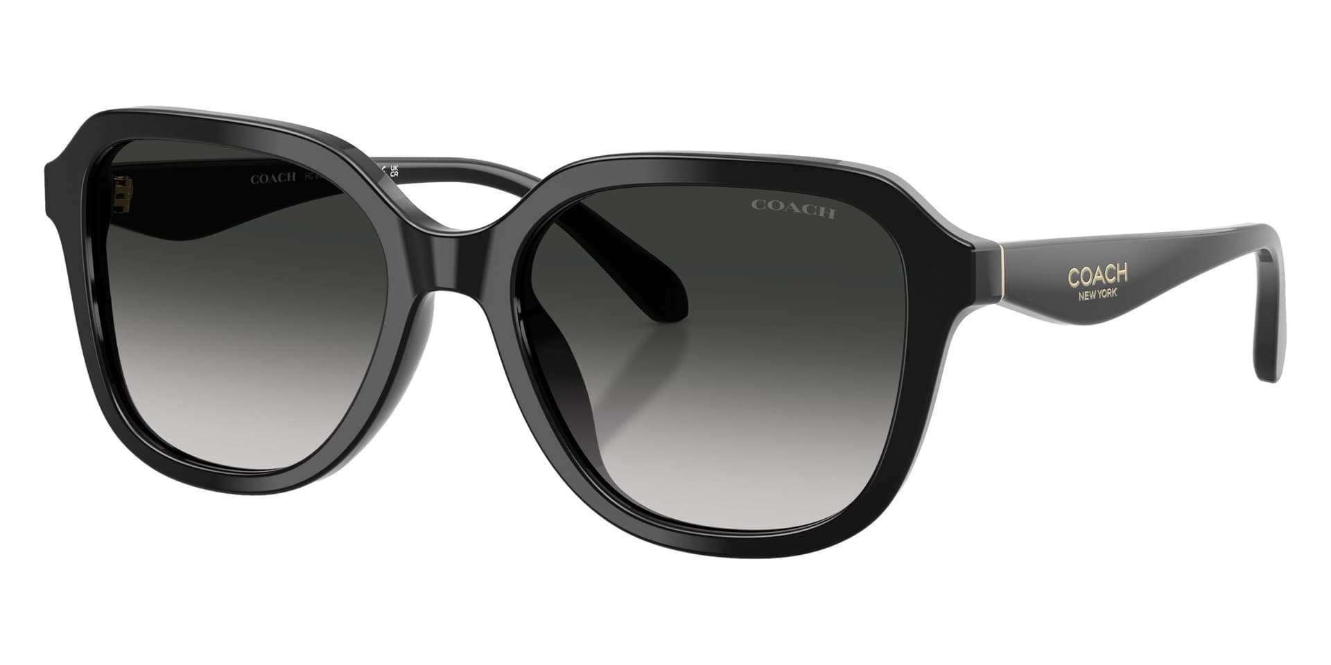 Coach Sunglasses HC8437U in Black / Gray Gradient (50023C), front three-quarter view