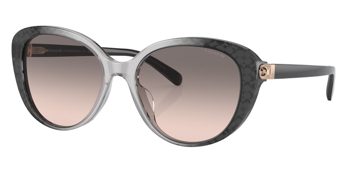 Coach Sunglasses HC8348U in Gray Gradient / Gray Pink Gradient (57103B), front three-quarter view