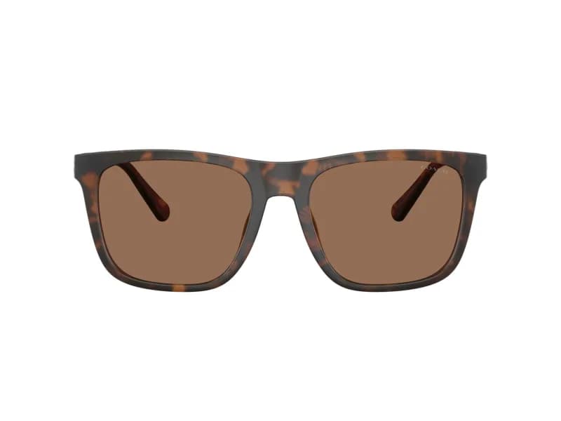 Coach Sunglasses HC8427U in 512073 (512073), straight front view