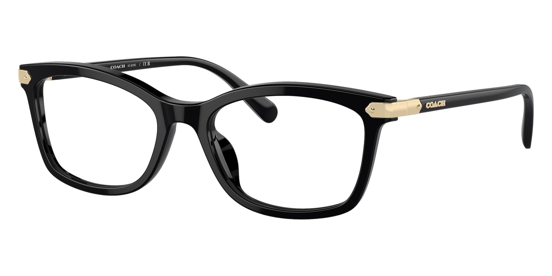 Coach Frame HC6219U in Black (5002), front three-quarter view