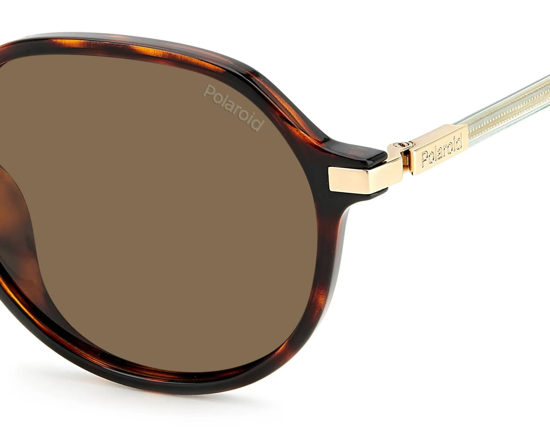 Polaroid Sunglasses PLD 4149/G/S/X in 086 (086)
